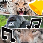 Animal Ringtones & Sounds