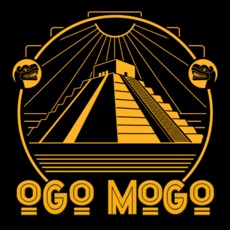 Activities of MOGO Puzzle Game