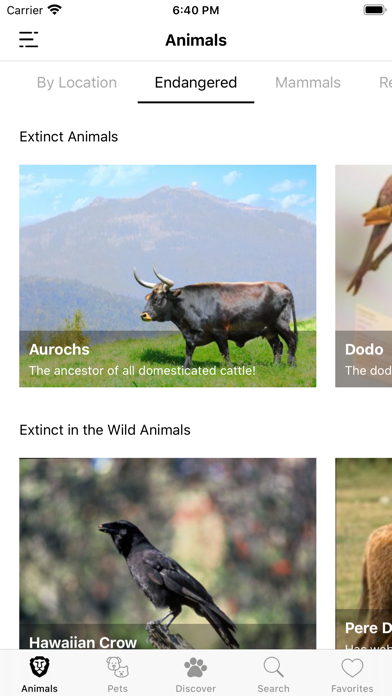 Animal Facts (Animal World) Screenshot