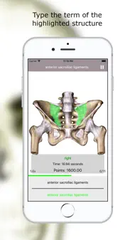 Anatomy Quiz Lite iphone resimleri 3