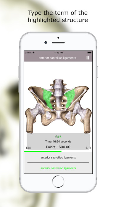 Screenshot #3 pour Anatomy Quiz lite