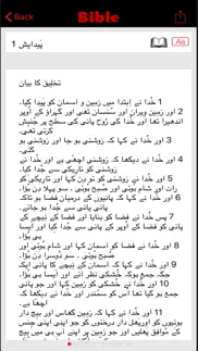 revised urdu bible problems & solutions and troubleshooting guide - 4