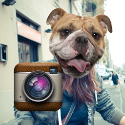 Animaux Photomaton