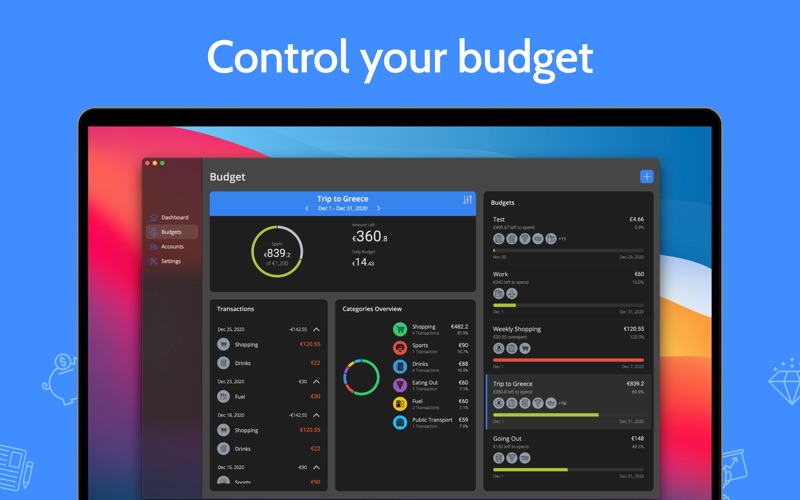Moneyboard Pro  Budget Planner Screenshot