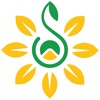 Saiwai icon