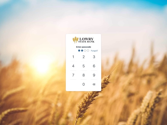 Lowry State Bank iPad screenshot 2 - Finance app