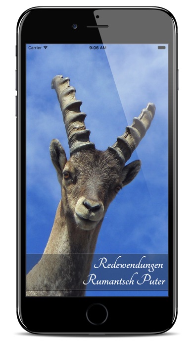 Screenshot #1 pour Rumantsch Puter Redewendungen