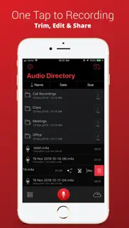 voice recorder plus pro iphone screenshot 2