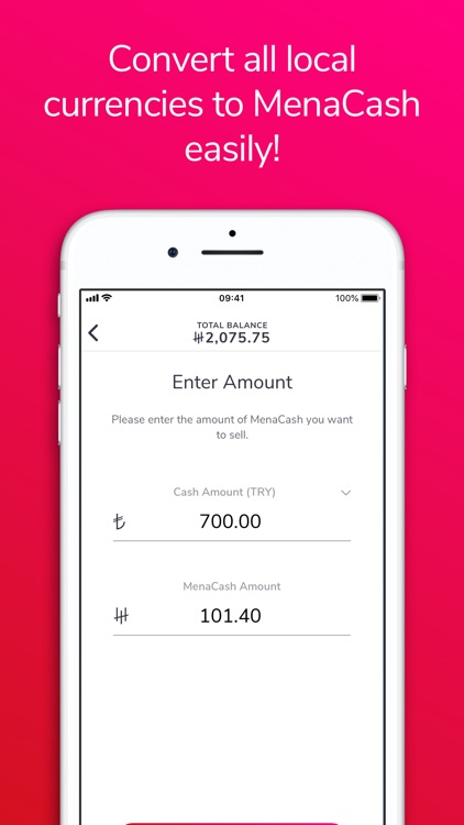 MenaPay Business