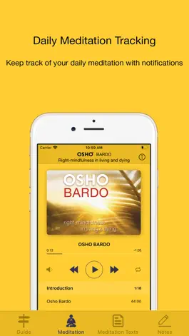 Game screenshot OSHO Bardo apk