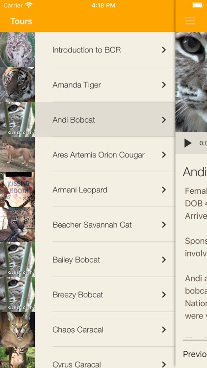 Big Cat Rescue App