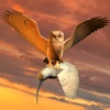 Clan Of Owl icon