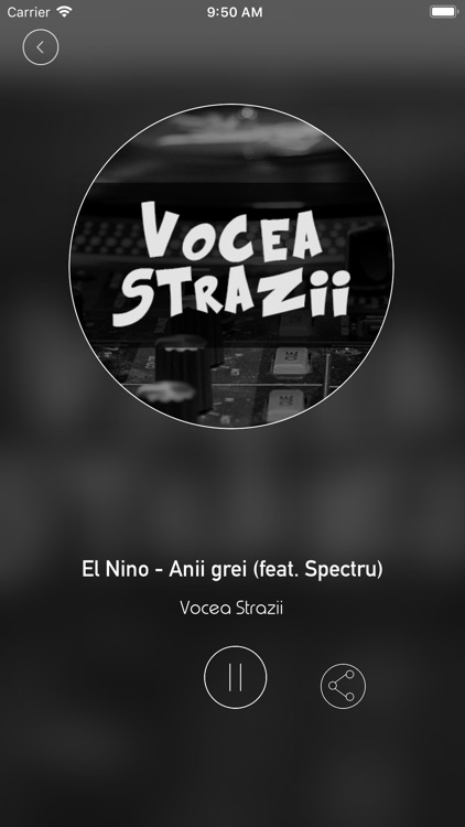 Vocea Strazii by Bragadireanu Mihai