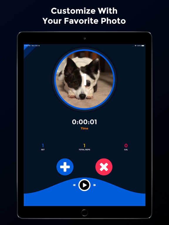PushFit Pro PushFit Pro