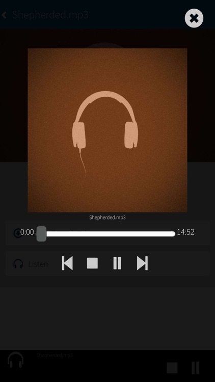 Bethany Presbyterian screenshot-4