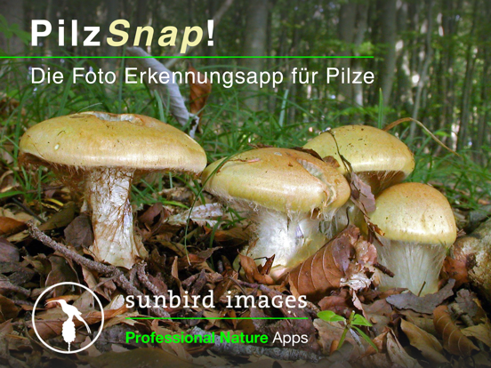 Screenshot #4 pour PilzSnap - Pilze sammeln!