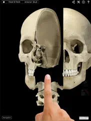 skeleton system pro iii ipad images 1