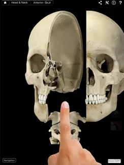 Skeleton System Pro III iPad image 1