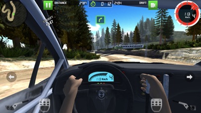 Rally Racer Dirt screenshot 2