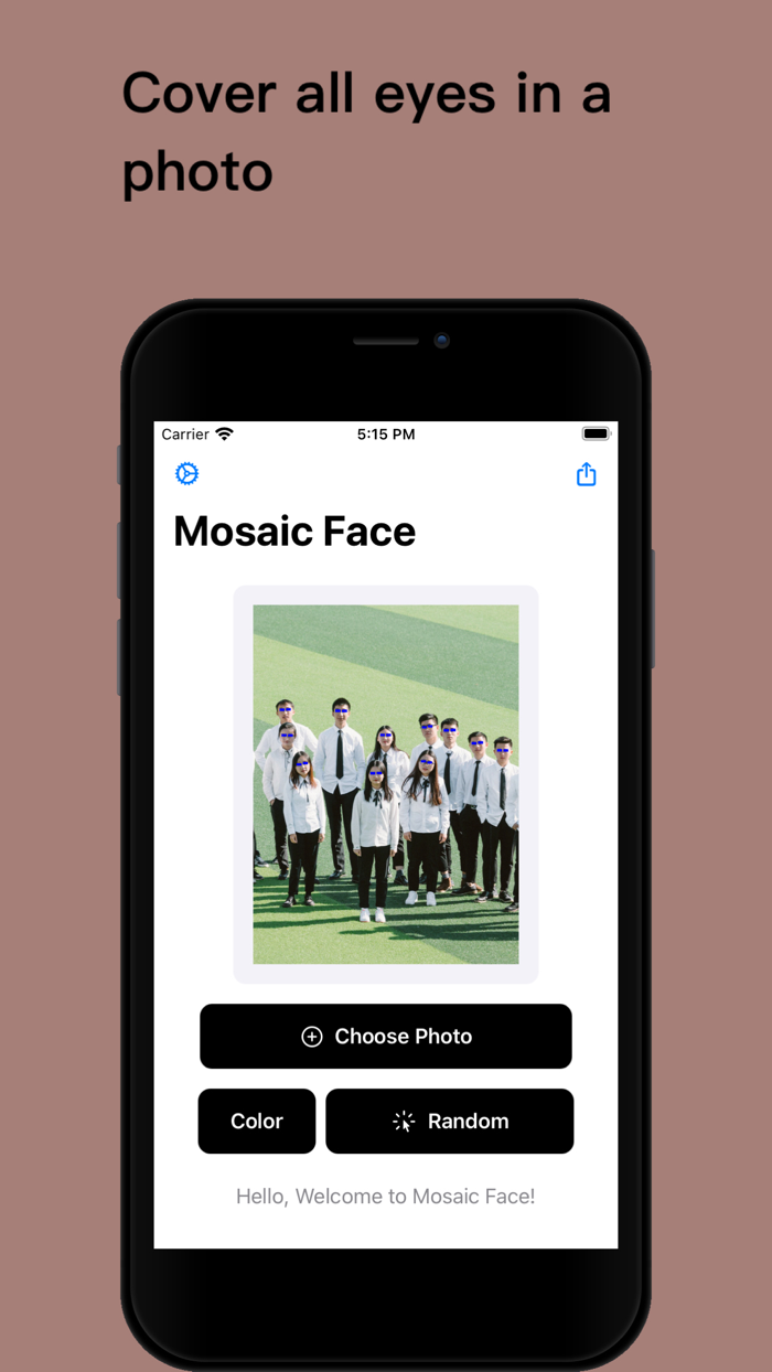 Face Tool -  face mask picture