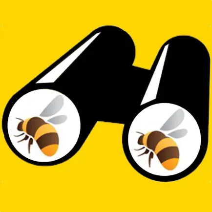 BeeID Читы