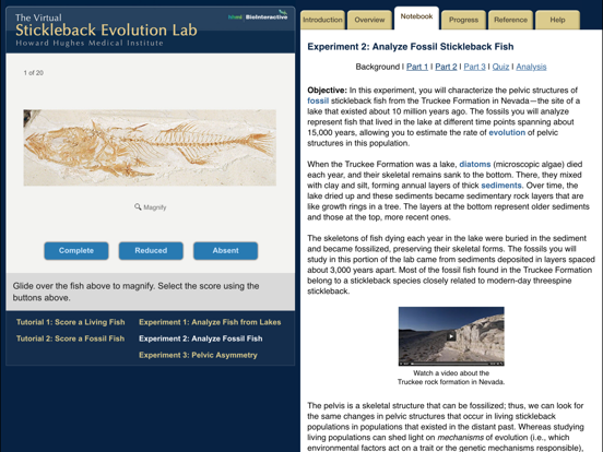 Screenshot #6 pour Stickleback Evolution Lab