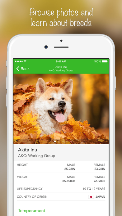 iKnow Dogs: 识别犬种 screenshot