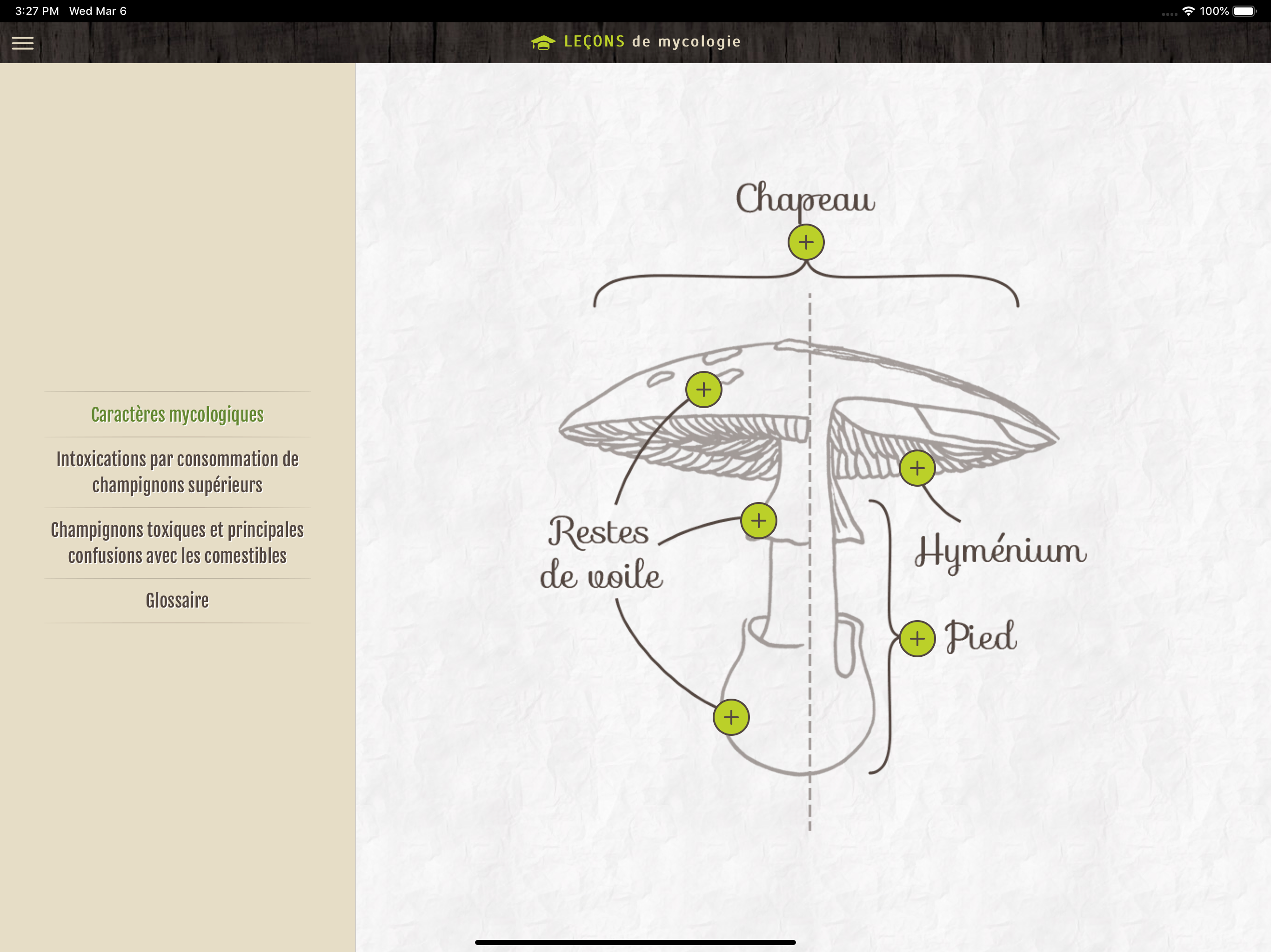 Déclic champi