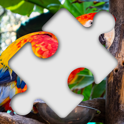 Jigsaw Photo Puzzle App Support