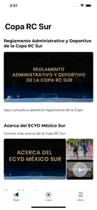 Copa RC Sur screenshot #1 for iPhone