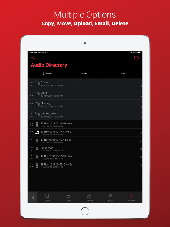 Screenshot #6 pour Voice Recorder Plus Pro