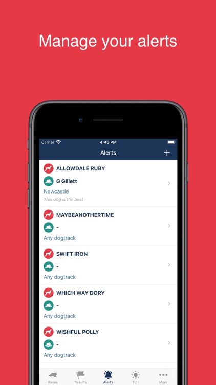 Greyhound Racing Tracker screenshot-5