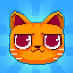 螢幕擷取畫面 (8) Crashy Cats
