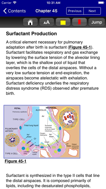 Rudolph's Pediatrics, 23/E screenshot-4