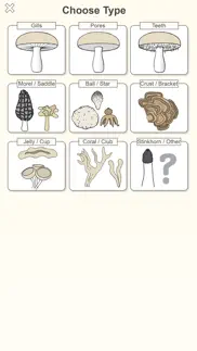 shroomify - mushroom id usa not working image-3