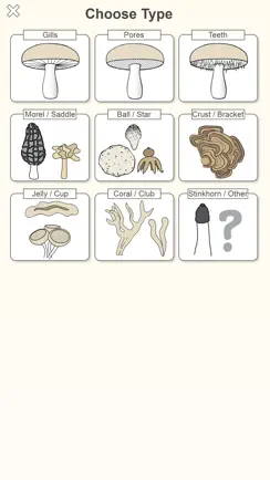 Shroomify - Mushroom ID USA iPhone image 3
