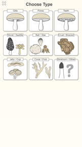 Shroomify - Mushroom ID USA screenshot
