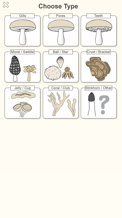 Shroomify - Mushroom ID screenshot 3
