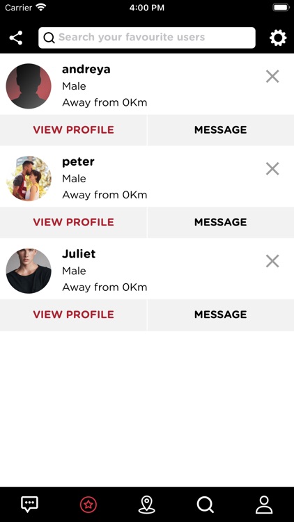 Silk Encounters screenshot-4