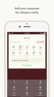 minibudget pro iphone screenshot 4
