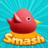 Cool Birds Game - Fun Smash problems & troubleshooting and solutions