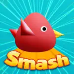 Cool Birds Game - Fun Smash App Contact