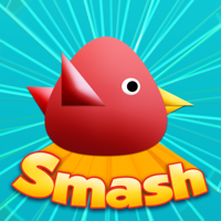 Cool Birds Game - Fun Smash