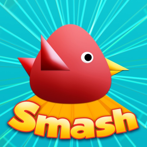 Cool Birds Game - Fun Smash icon