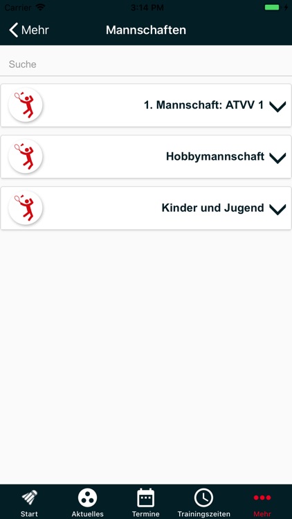 BadmintonATVV screenshot-3