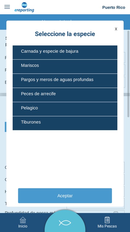 eReporting screenshot-5