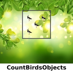 CountBirdsObjects