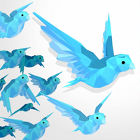 Birds.io