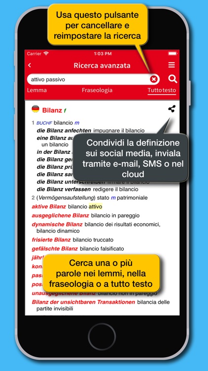 Business Dictionary DE-IT screenshot-3