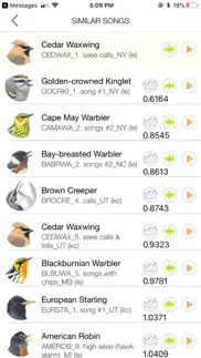 song sleuth bird song analyzer problems & solutions and troubleshooting guide - 1